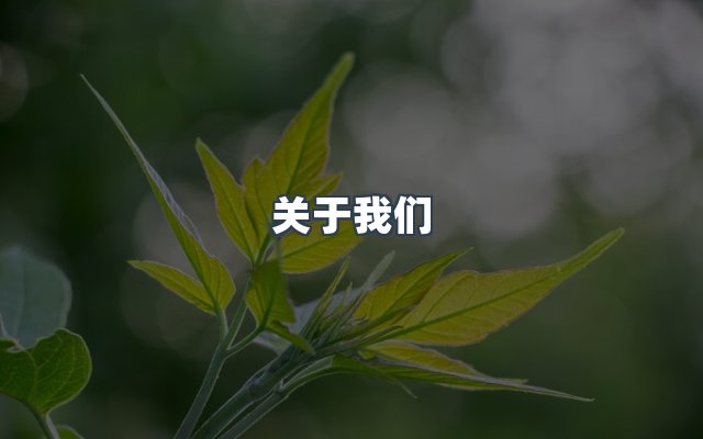 团队合作